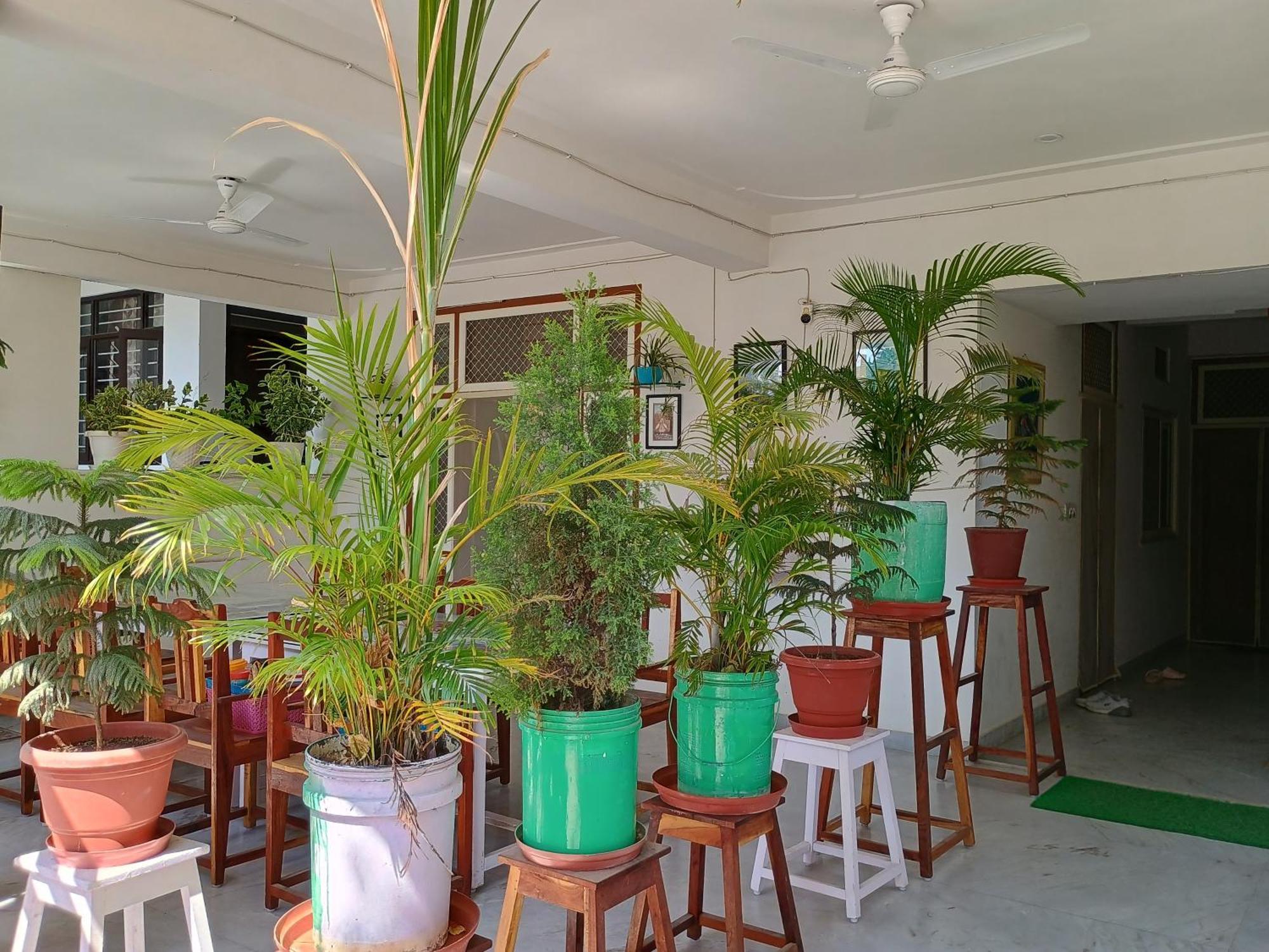 Choudhary White House Udaipur Apartment Exterior photo